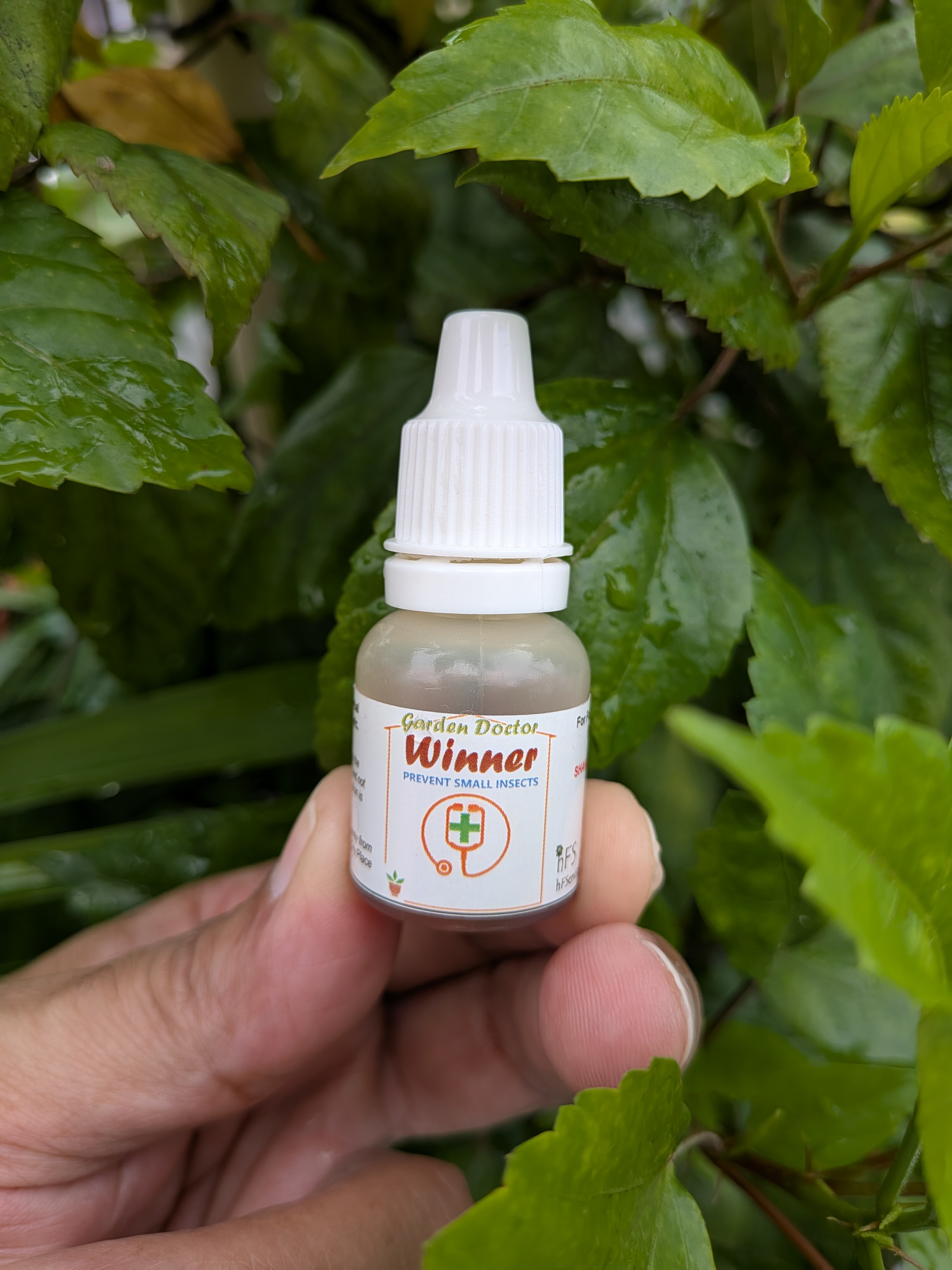 WINNER (10 ml) - Maintains Garden Aesthetics (Pack of 2) Shipping free